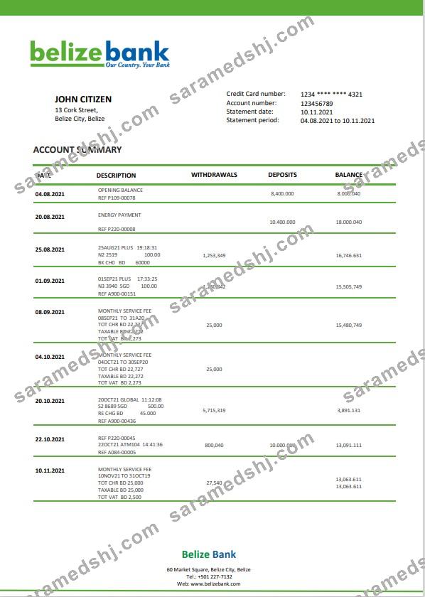 Belize bank statement template in Word and PDF format, fully editable